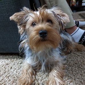 Meet your Posher, Esteban